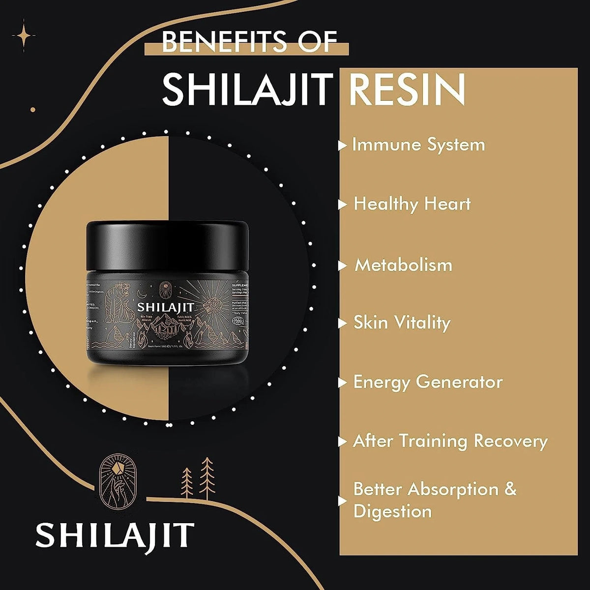 Natural Shilajit Resin 50g