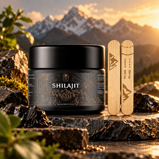 Natural Shilajit Resin 50g